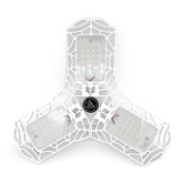 09dbc302f927d81a21a1c335f7ee996f