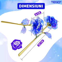 712f311408fea0dac4ceba377644f413