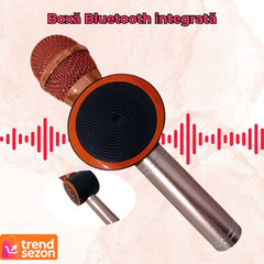 Microfon Karaoke Wireless cu Bluetooth V11 — Distracție Portabilă în Stil! 🎤🎉