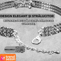 Zgarda Elegantă pentru Câini de Talie Mică cu Cristale Strălucitoare — Stil Rafinament 🐶✨