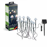 Set 10 Lumini Solare Tip Ciuperci LED — Iluminare Elegantă pentru Grădină 🌼✨