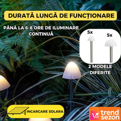 Set 10 Lumini Solare Tip Ciuperci LED — Iluminare Elegantă pentru Grădină 🌼✨