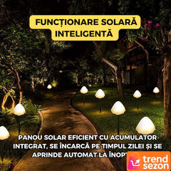 Set 10 Lumini Solare Tip Ciuperci LED — Iluminare Elegantă pentru Grădină 🌼✨