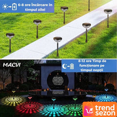 Set 2 Lampi Solare Floarea-Soarelui LED RGB — Iluminare Spectaculoasă 🌻💡
