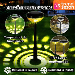 Set 2 Lampi Solare Floarea-Soarelui LED RGB — Iluminare Spectaculoasă 🌻💡