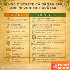 Plasturi Detoxifiere cu Ghimbir — Revitalizare Naturală a Picioarelor 🌱✨