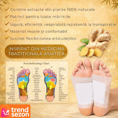 Plasturi Detoxifiere cu Ghimbir — Revitalizare Naturală a Picioarelor 🌱✨