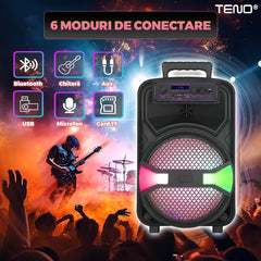 Boxă Portabilă cu Microfon și Telecomandă — Muzică și Distracție Instantanee! 🎤🎶