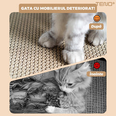 Ansamblu de Joacă pentru Pisici cu Casuță din Lemn — Distracție și Confort 🐾🏡