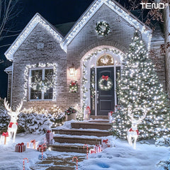 Instalație de Crăciun cu LED-uri 10 m - 8 Jocuri de Lumini Magice ✨🎄