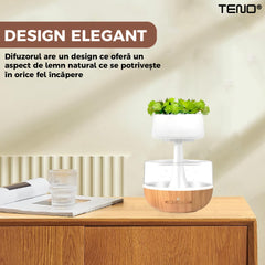 Difuzor Aromaterapie cu Plante Decorativa & Efect de Picuri — Relaxare Totală! 🌿✨