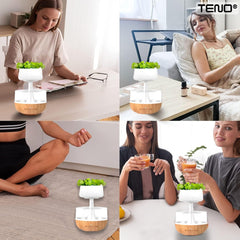 Difuzor Aromaterapie cu Plante Decorativa & Efect de Picuri — Relaxare Totală! 🌿✨