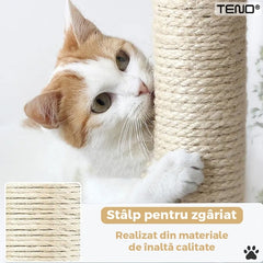 Ansamblu de Joacă pentru Pisici cu Spațiu de Relaxare — Distracție Garantată! 🐾🎾