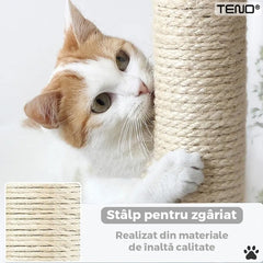 Ansamblu de Joacă Pisici cu Loc de Relaxare 42cm — Confort și Distracție! 🐾✨