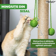Ansamblu de Joacă pentru Pisici Palmier Verde — Distracție Premium 🐾🌴