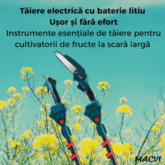 0e3eab9269bbc403a79df75e895a2102