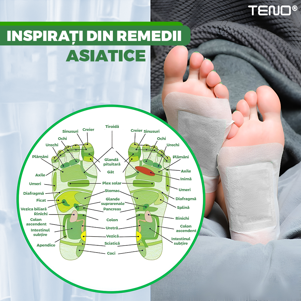 66ed94c1b453f0b2ae80d5aad72edaec