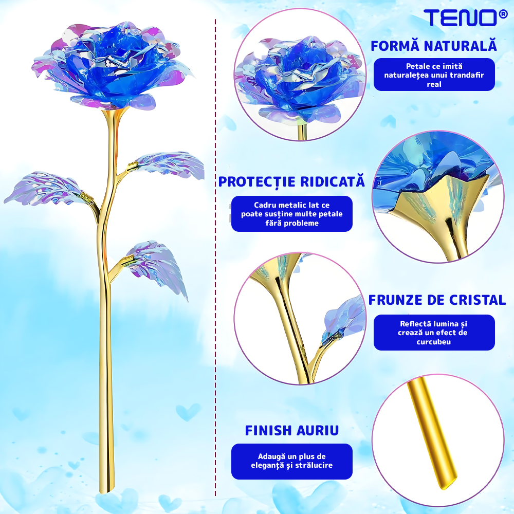 6cab483a22163f02591a54985dcc53d0