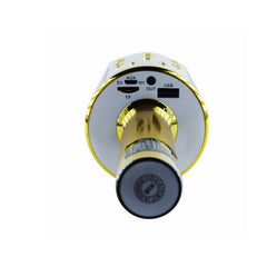 Microfon Karaoke Metallic cu Redare pe Card — Experiență Audio Vibrantă 🎤✨
