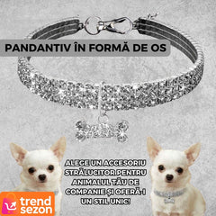 Zgarda Elegantă pentru Câini de Talie Mică cu Cristale Strălucitoare — Stil Rafinament 🐶✨