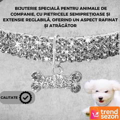 Zgarda Elegantă pentru Câini de Talie Mică cu Cristale Strălucitoare — Stil Rafinament 🐶✨