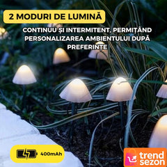 Set 10 Lumini Solare Tip Ciuperci LED — Iluminare Elegantă pentru Grădină 🌼✨