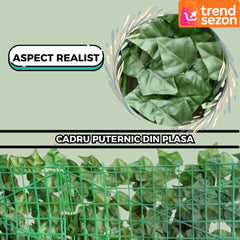 Gard Artificial cu Frunze Iedera Verde 300x100 cm — Soluție Elegantă pentru Intimitate 🌿✨