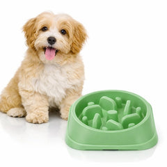 Bol Antiderapant pentru Câini cu Hranire Lentă, Verde Pastel — Digestie Sănătoasă 🐶💚