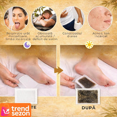 Plasturi Detoxifiere cu Ghimbir — Revitalizare Naturală a Picioarelor 🌱✨