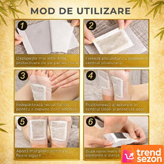 Plasturi Detoxifiere cu Ghimbir — Revitalizare Naturală a Picioarelor 🌱✨