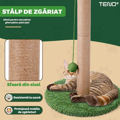 Ansamblu de Joacă pentru Pisici Palmier Verde — Distracție Premium 🐾🌴