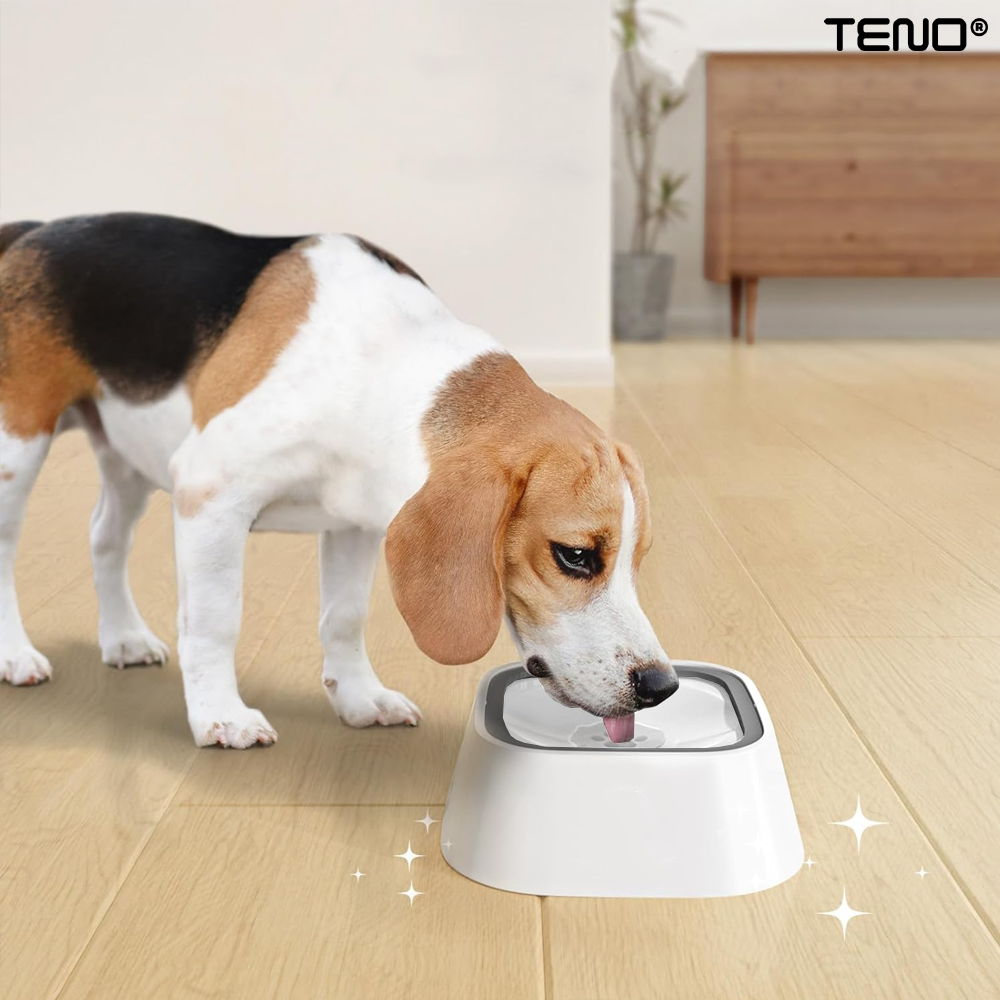 fe978cda76c1f9a240fad429ca1bc713