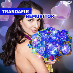 4f8dd558e600c9f27befac39d317c5a4